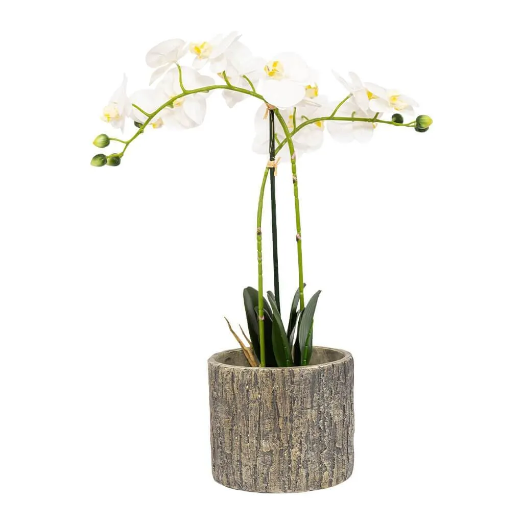 Faux White Orchid & Weathered Concrete Planter